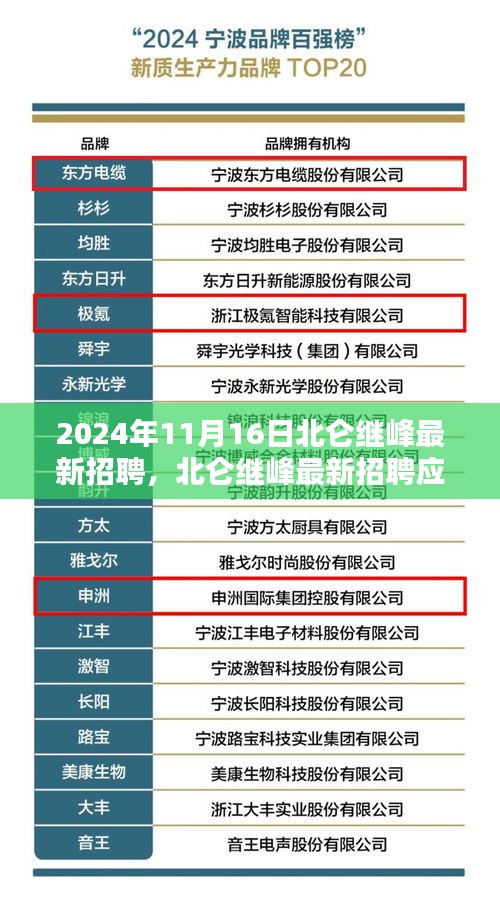 北仑继峰最新招聘应聘全流程指南，初学者与进阶用户必读（2024年11月1 6日）