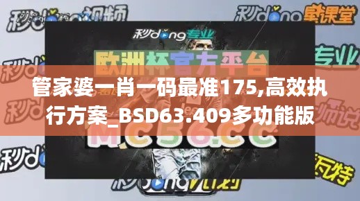 管家婆一肖一码最准175,高效执行方案_BSD63.409多功能版