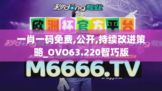 一肖一码免费,公开,持续改进策略_OVO63.220智巧版