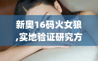 新奥16码火女狼,实地验证研究方案_LOB63.599稳定版