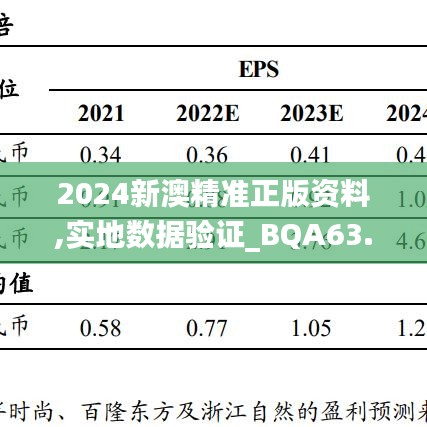 2024新澳精准正版资料,实地数据验证_BQA63.235并行版