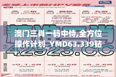 澳门三肖一码中恃,全方位操作计划_YMD63.339钻石版