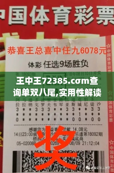 王中王72385.cσm查询单双八尾,实用性解读策略_FTY63.434方案版