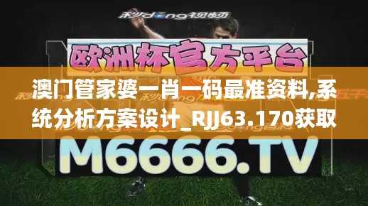 澳门管家婆一肖一码最准资料,系统分析方案设计_RJJ63.170获取版