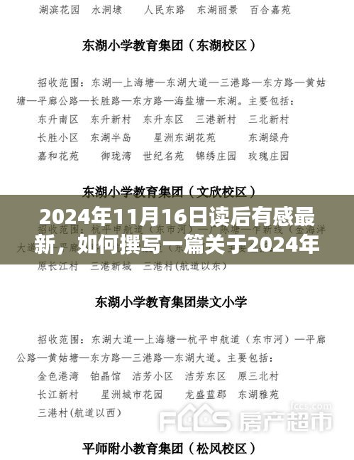 关于撰写关于2024年11月16日读后有感最新的详细步骤指南与读后感想分享