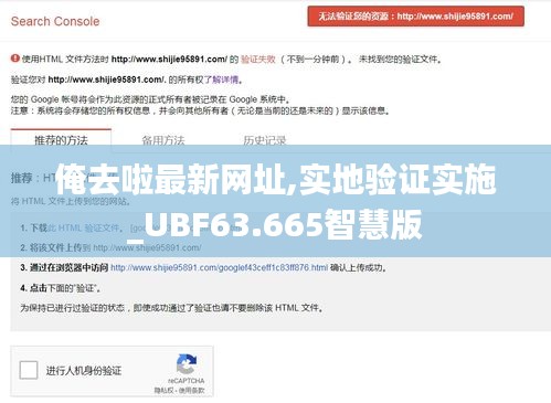 俺去啦最新网址,实地验证实施_UBF63.665智慧版