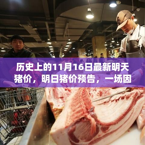 猪肉情缘，明日猪价预告与温馨故事会