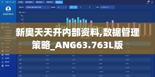 新奥天天开内部资料,数据管理策略_ANG63.763L版