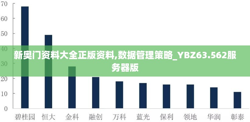 新奥门资料大全正版资料,数据管理策略_YBZ63.562服务器版