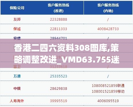 香港二四六资料308图库,策略调整改进_VMD63.755迷你版