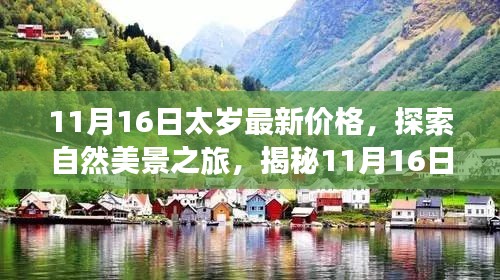 揭秘最新太岁价格，自然美景之旅探寻内心宁静与平和