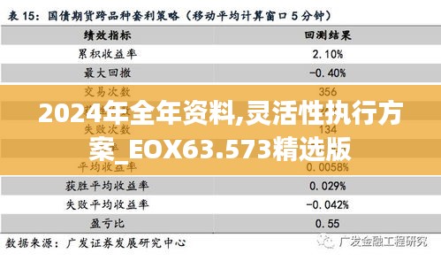 2024年全年资料,灵活性执行方案_EOX63.573精选版