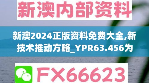 新澳2024正版资料免费大全,新技术推动方略_YPR63.456为你版