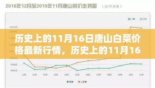 历史上的11月16日唐山白菜价格走势及最新行情概览