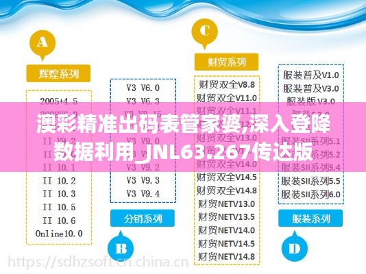 澳彩精准出码表管家婆,深入登降数据利用_JNL63.267传达版