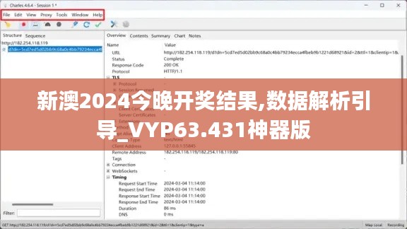 新澳2024今晚开奖结果,数据解析引导_VYP63.431神器版