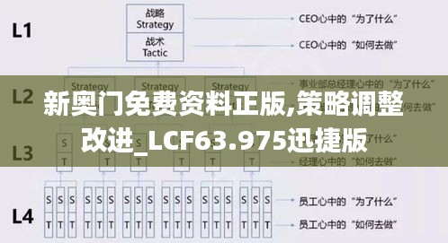 新奥门免费资料正版,策略调整改进_LCF63.975迅捷版