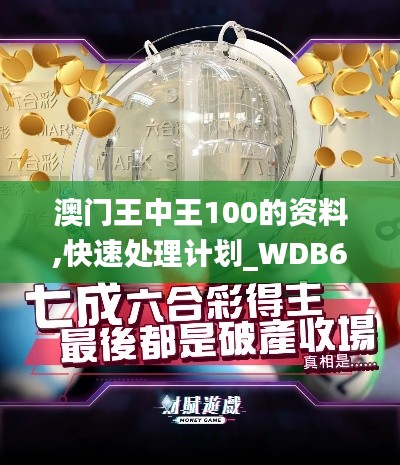 澳门王中王100的资料,快速处理计划_WDB63.971先锋科技