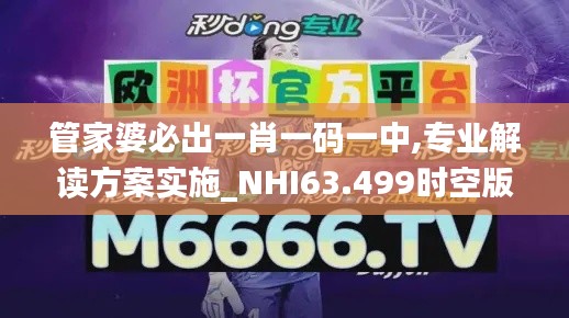 管家婆必出一肖一码一中,专业解读方案实施_NHI63.499时空版