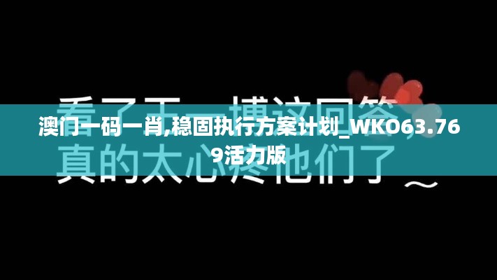 澳门一码一肖,稳固执行方案计划_WKO63.769活力版