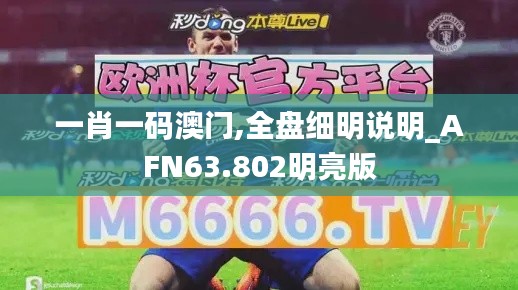 一肖一码澳门,全盘细明说明_AFN63.802明亮版