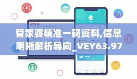 管家婆精准一码资料,信息明晰解析导向_VEY63.975方便版