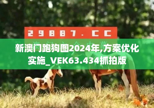 新澳门跑狗图2024年,方案优化实施_VEK63.434抓拍版