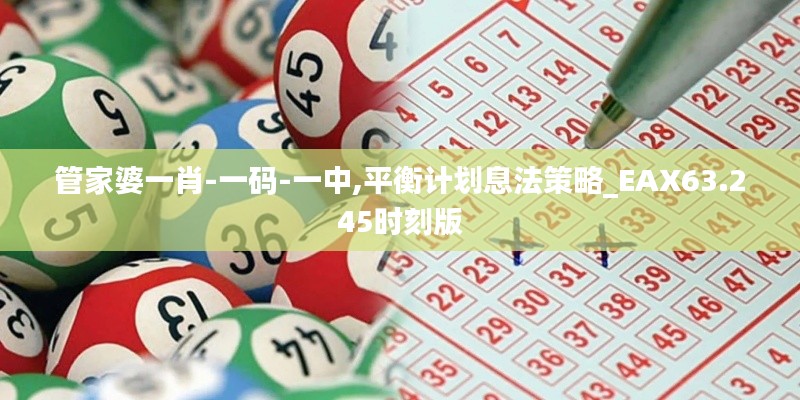 管家婆一肖-一码-一中,平衡计划息法策略_EAX63.245时刻版