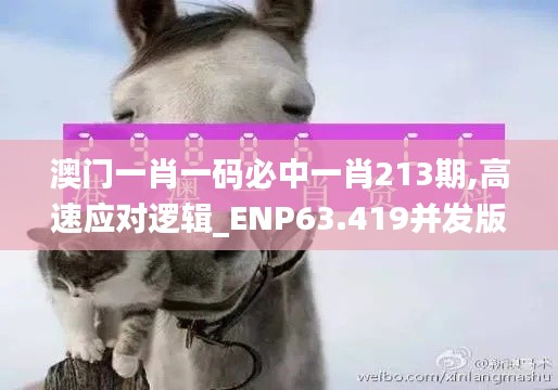 澳门一肖一码必中一肖213期,高速应对逻辑_ENP63.419并发版