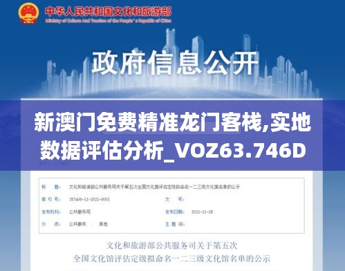 新澳门免费精准龙门客栈,实地数据评估分析_VOZ63.746DIY工具版