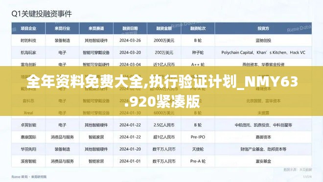 全年资料免费大全,执行验证计划_NMY63.920紧凑版