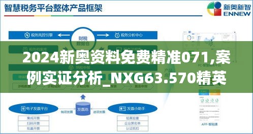 2024新奥资料免费精准071,案例实证分析_NXG63.570精英版