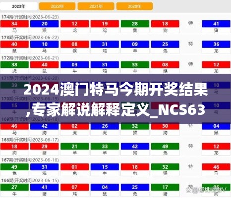 2024澳门特马今期开奖结果,专家解说解释定义_NCS63.553跨界版