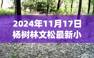 杨树林文松最新小品之夜，探秘小巷深处的欢笑奥秘（2024年11月17日）