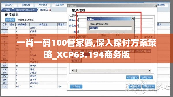 一肖一码100管家婆,深入探讨方案策略_XCP63.194商务版