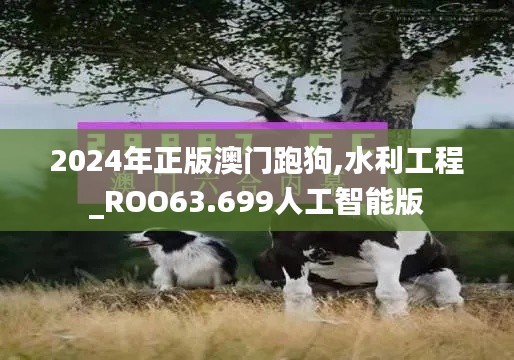 2024年正版澳门跑狗,水利工程_ROO63.699人工智能版