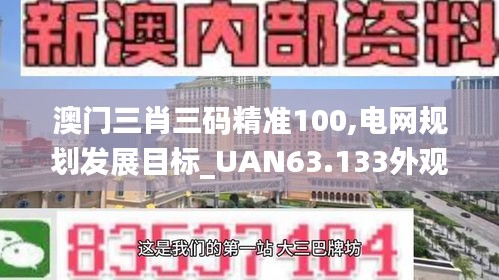 澳门三肖三码精准100,电网规划发展目标_UAN63.133外观版