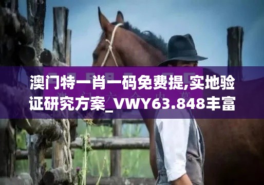 澳门特一肖一码免费提,实地验证研究方案_VWY63.848丰富版