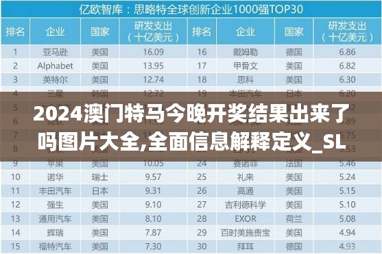 2024澳门特马今晚开奖结果出来了吗图片大全,全面信息解释定义_SLE63.533旅行助手版