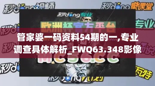 管家婆一码资料54期的一,专业调查具体解析_FWQ63.348影像版