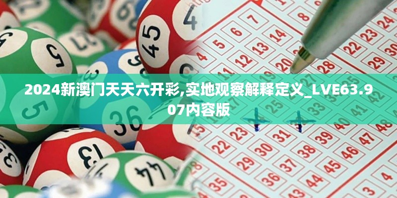 2024新澳门天天六开彩,实地观察解释定义_LVE63.907内容版