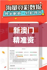 新澳门精准资料大全管家婆料,快速处理计划_GCI63.363世界版