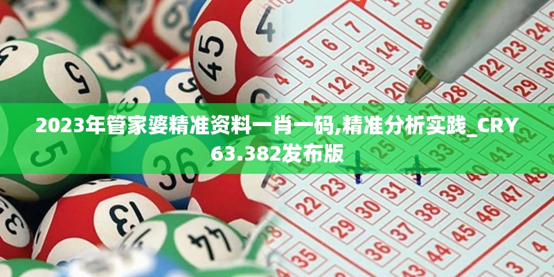 2023年管家婆精准资料一肖一码,精准分析实践_CRY63.382发布版