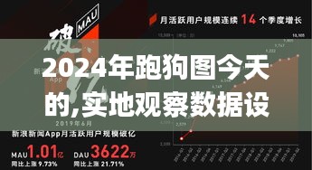 2024年跑狗图今天的,实地观察数据设计_XXK63.188绝版