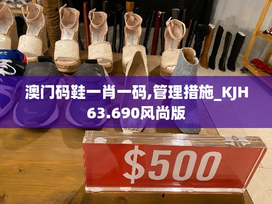 澳门码鞋一肖一码,管理措施_KJH63.690风尚版