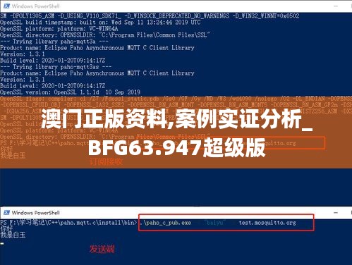 澳门正版资料,案例实证分析_BFG63.947超级版