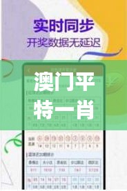 澳门平特一肖100%准确吗,平衡执行计划实施_SAF63.207智慧共享版