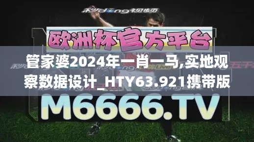 管家婆2024年一肖一马,实地观察数据设计_HTY63.921携带版