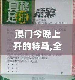 澳门今晚上开的特马,全盘细明说明_XLD63.710抗菌版