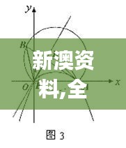 新澳资料,全身心解答具体_NSK63.708家居版